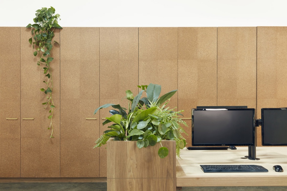royal nut company by breathe architecture