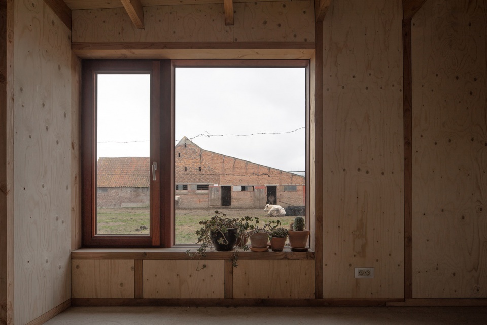 studio sds by graux baeyens architecten