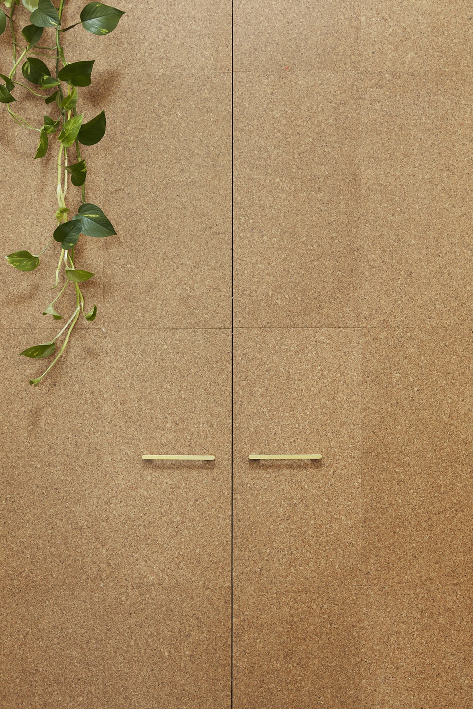 royal nut company by breathe architecture