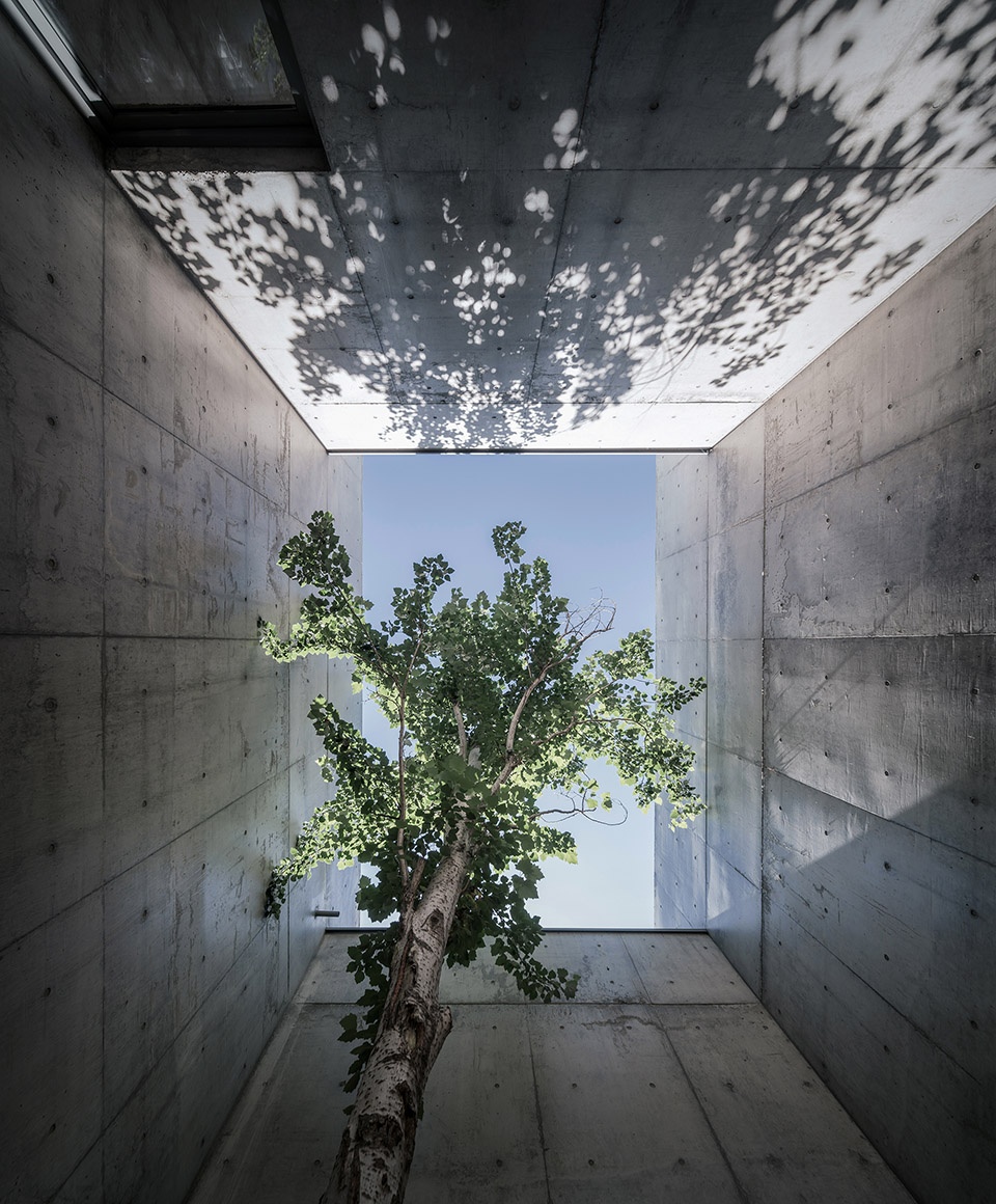 restaurant y sea china by vector architects