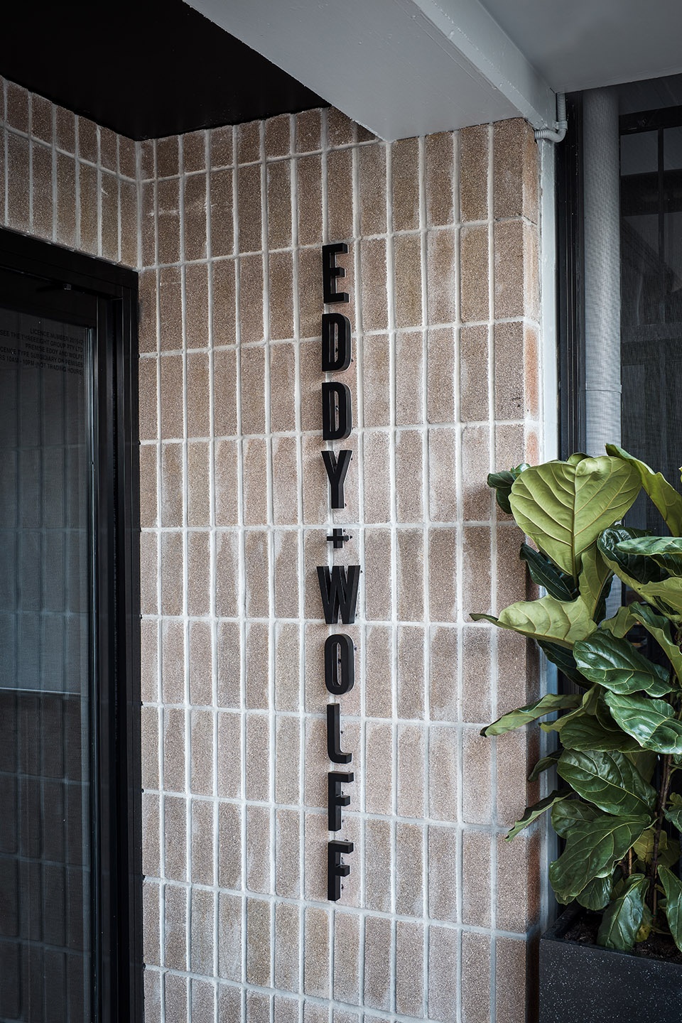 eddy wolff by design poets