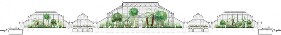 temperate house conservation by donald insall associates