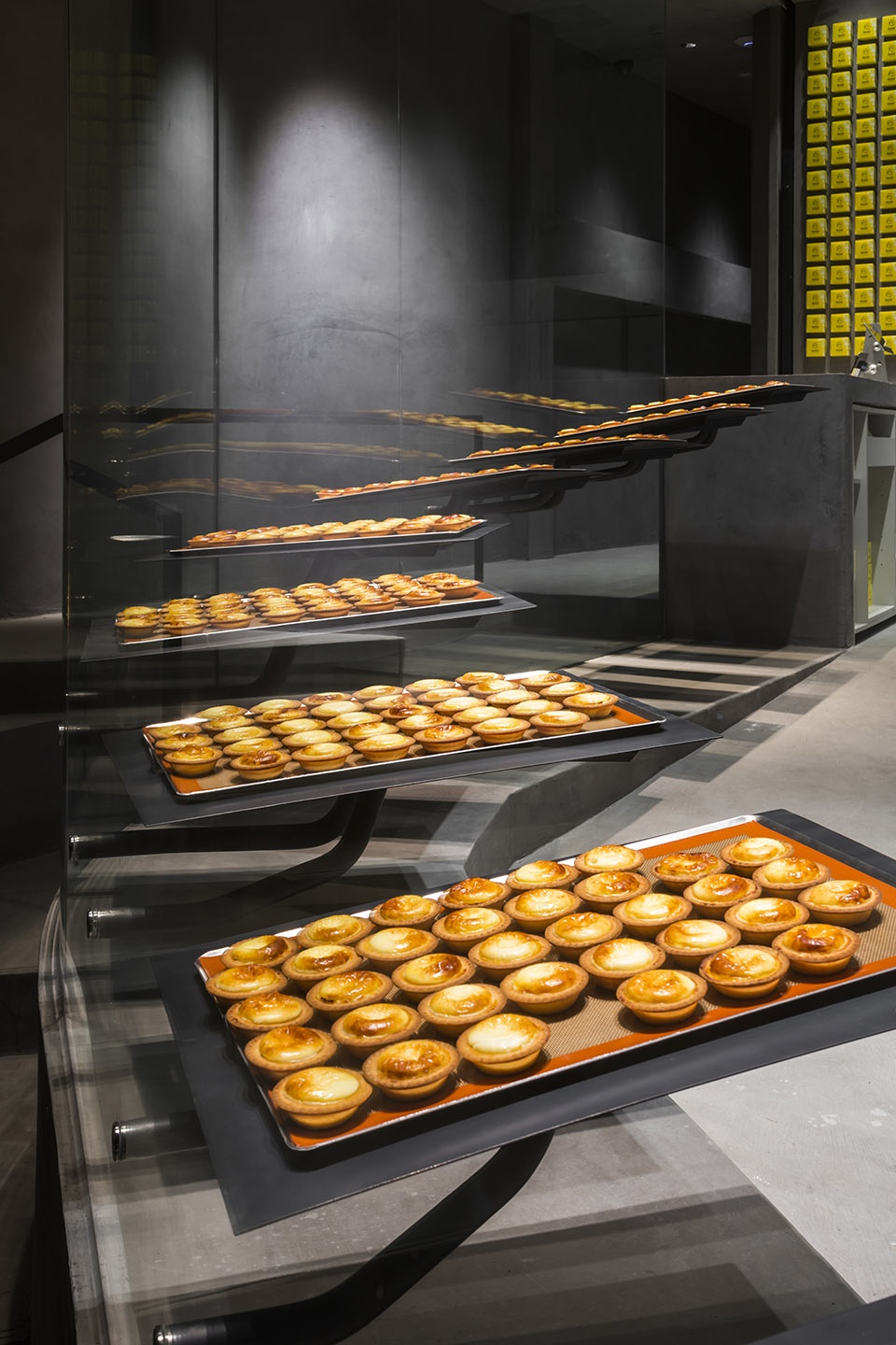 fleshly baked cheese tart shop bake cheese tart by 07beach