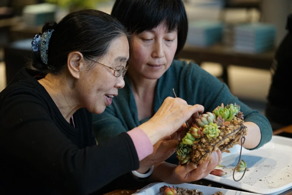 马寅谈阿那亚和生命美学