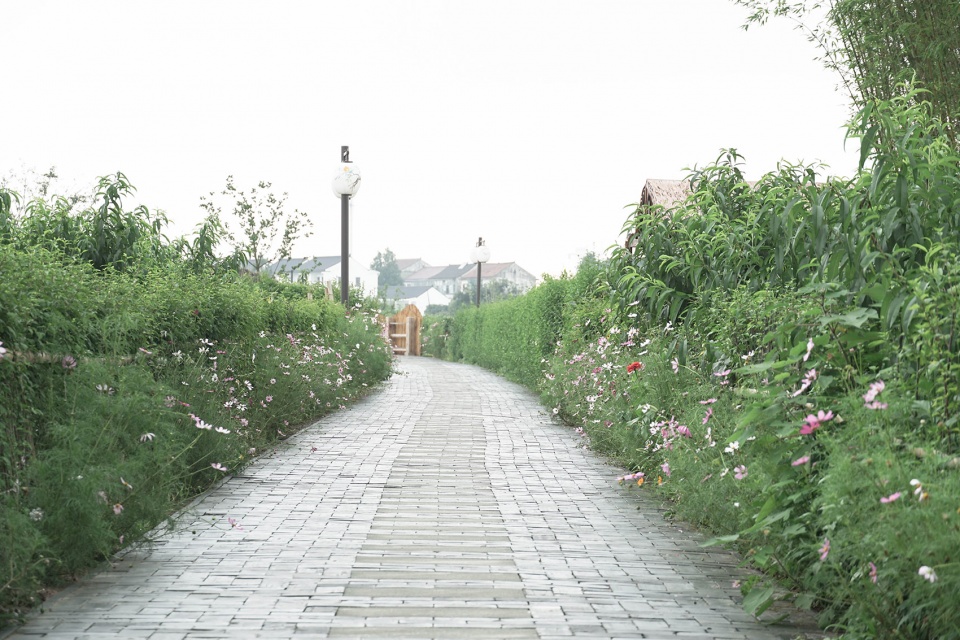 WuFang village caaladi