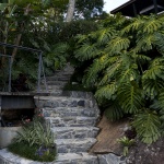 Correas住宅，巴西 / Rodrigo Simão Arquitetura