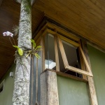 Correas住宅，巴西 / Rodrigo Simão Arquitetura