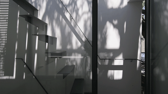tree courtyard china by atelier jian