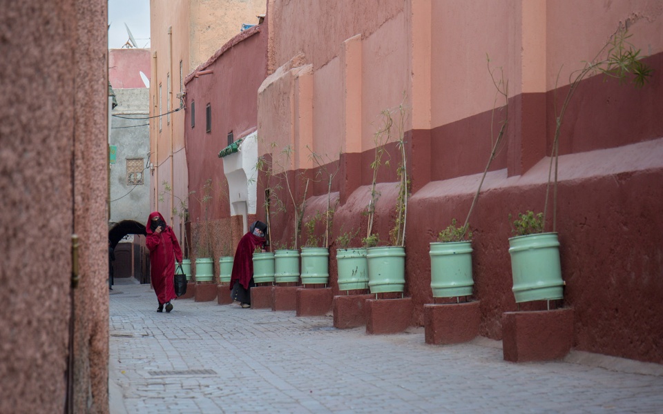 the shades of morocco by yang tianzhou