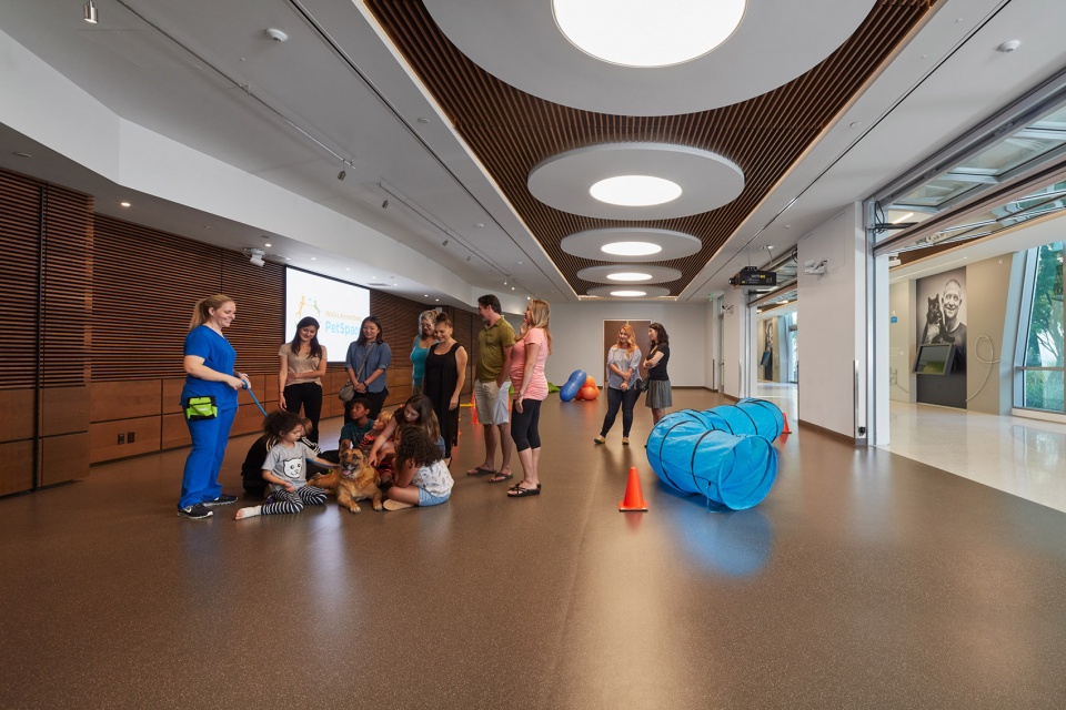 annenberg petspace by swatt miers architects