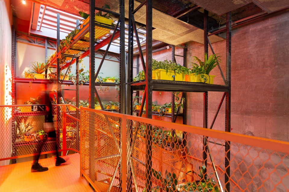bullguer centro by superlimao studio