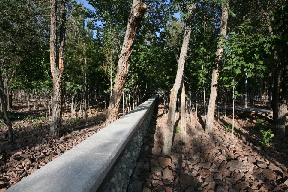 delight in confrontation tian park in xinjiang china by r land