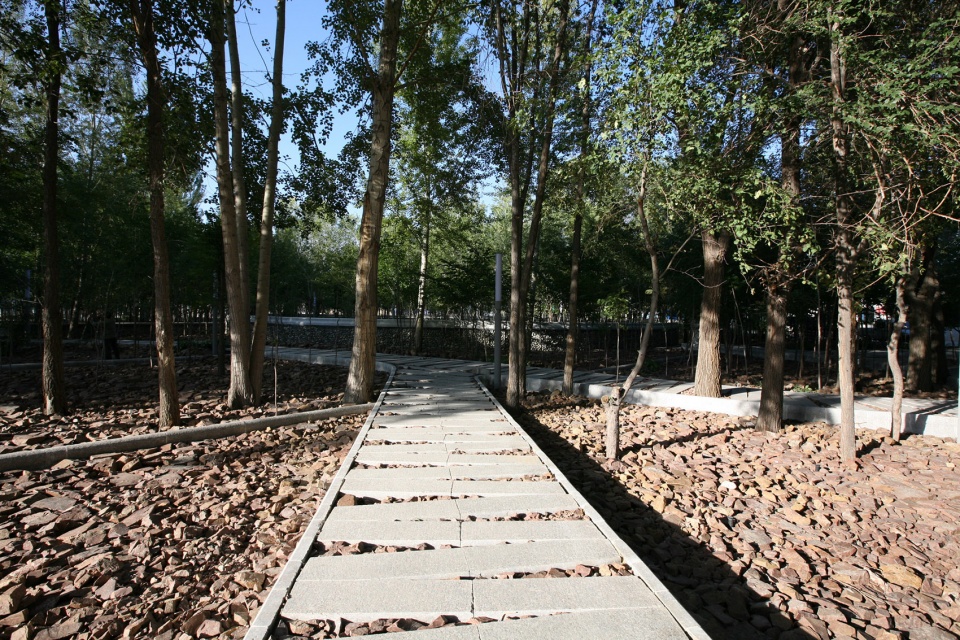 delight in confrontation tian park in xinjiang china by r land