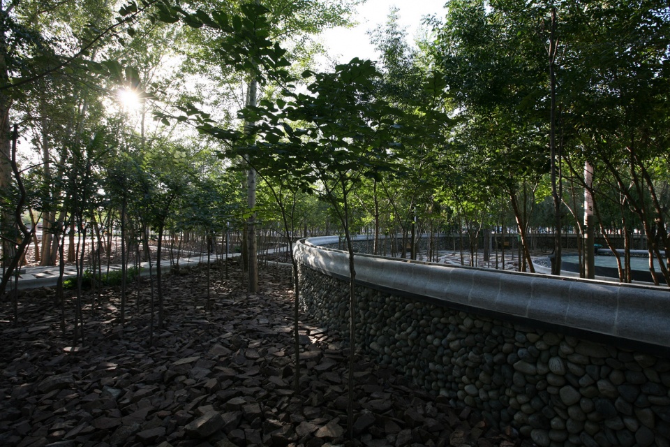 delight in confrontation tian park in xinjiang china by r land