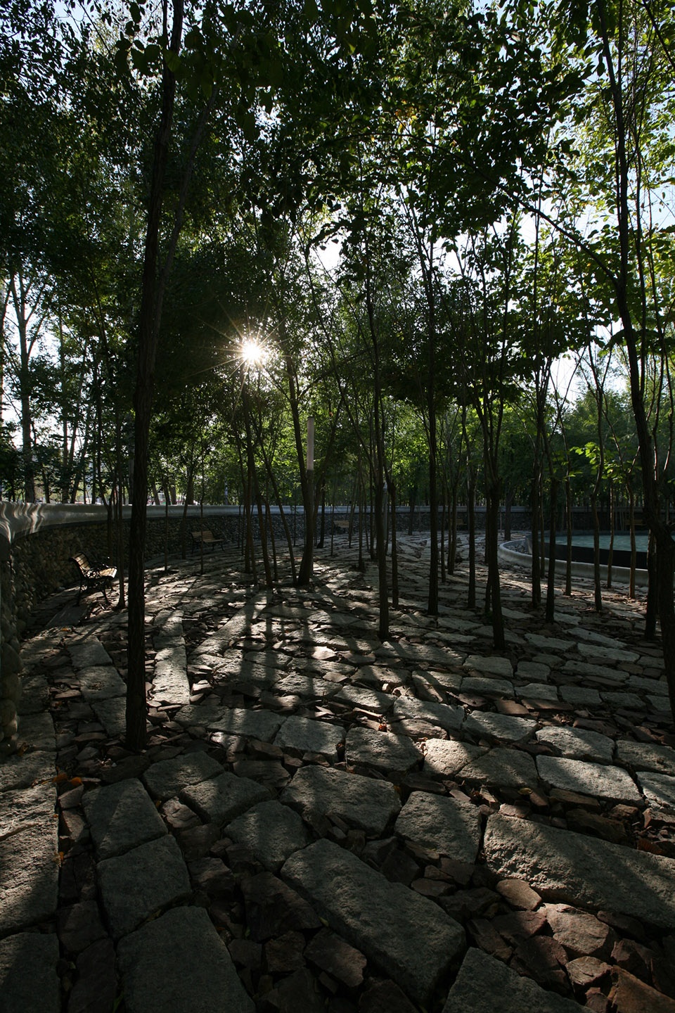 delight in confrontation tian park in xinjiang china by r land