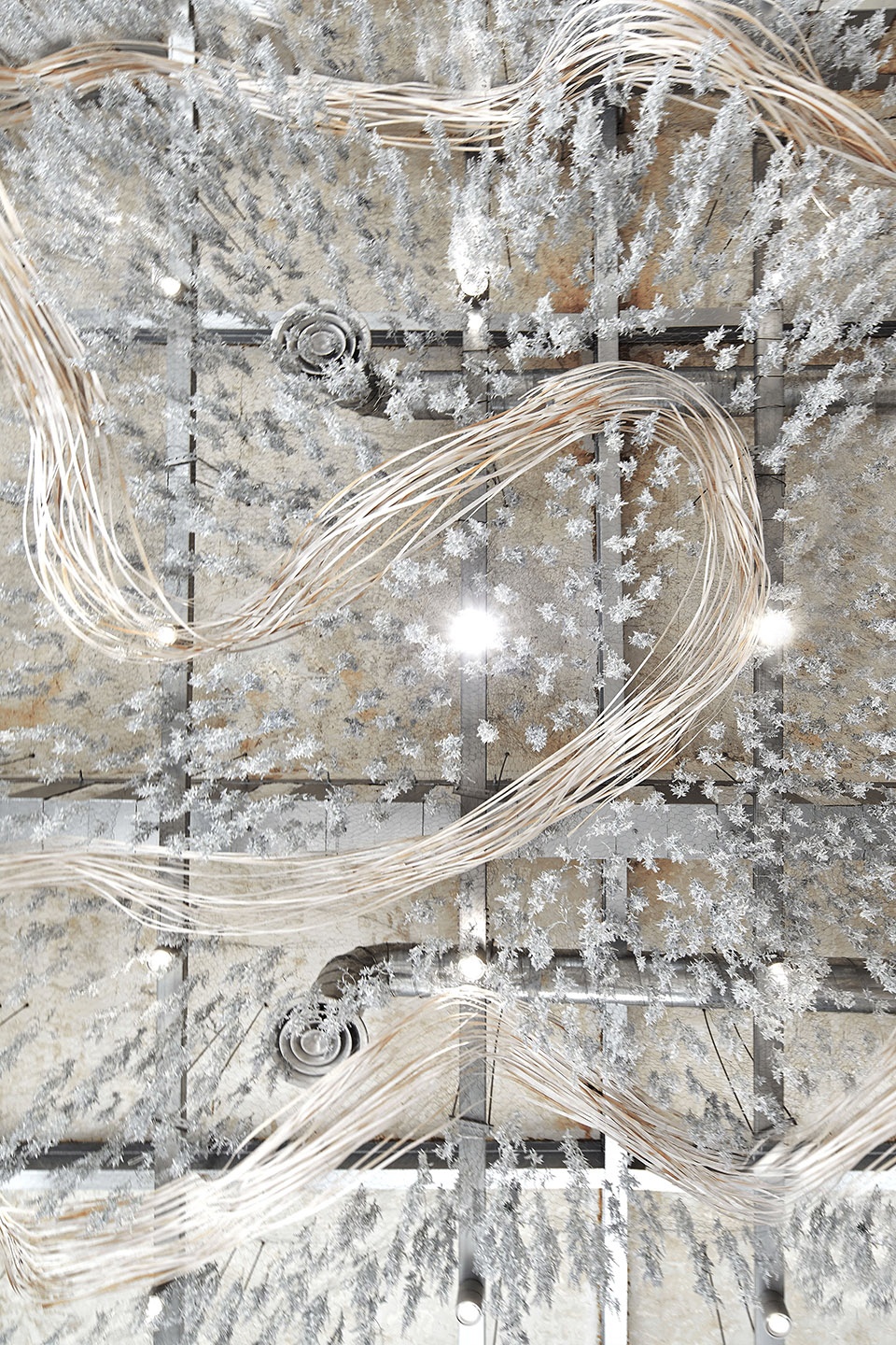 surely chaos art space china by dpd