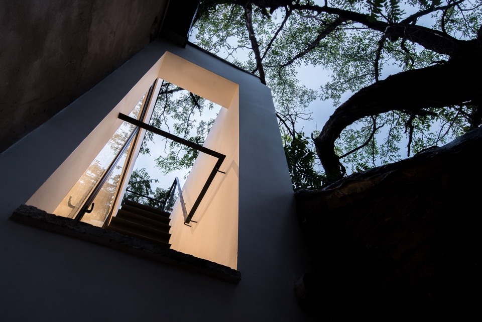 tree courtyard china by atelier jian