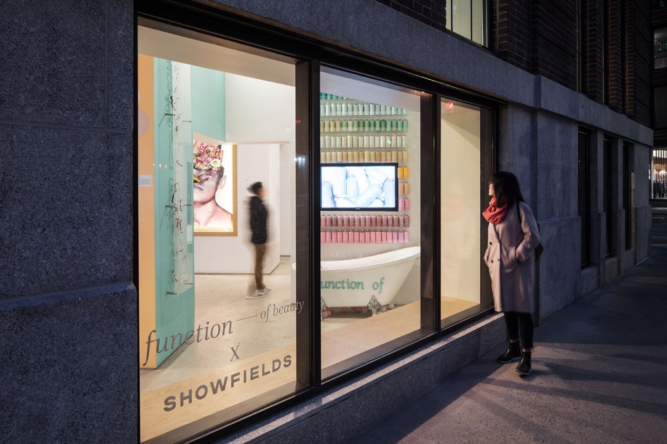 showfields by lukstudio