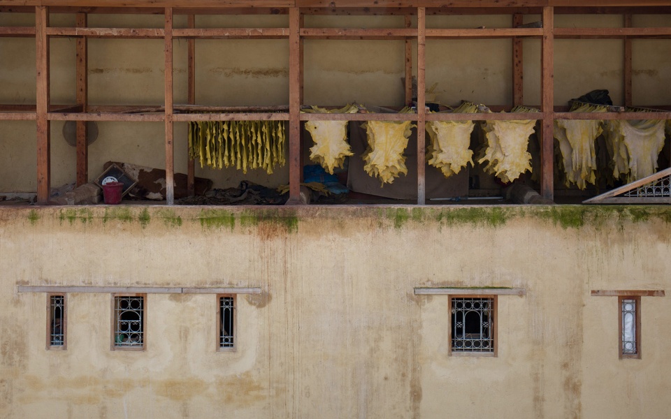 the shades of morocco by yang tianzhou