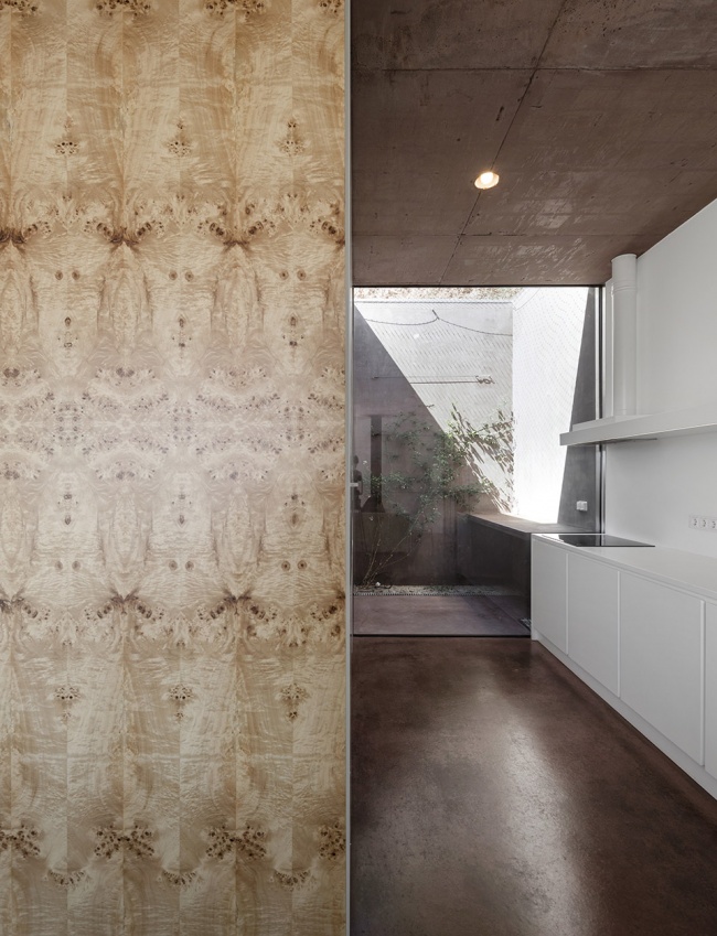 twin house by extrastudio