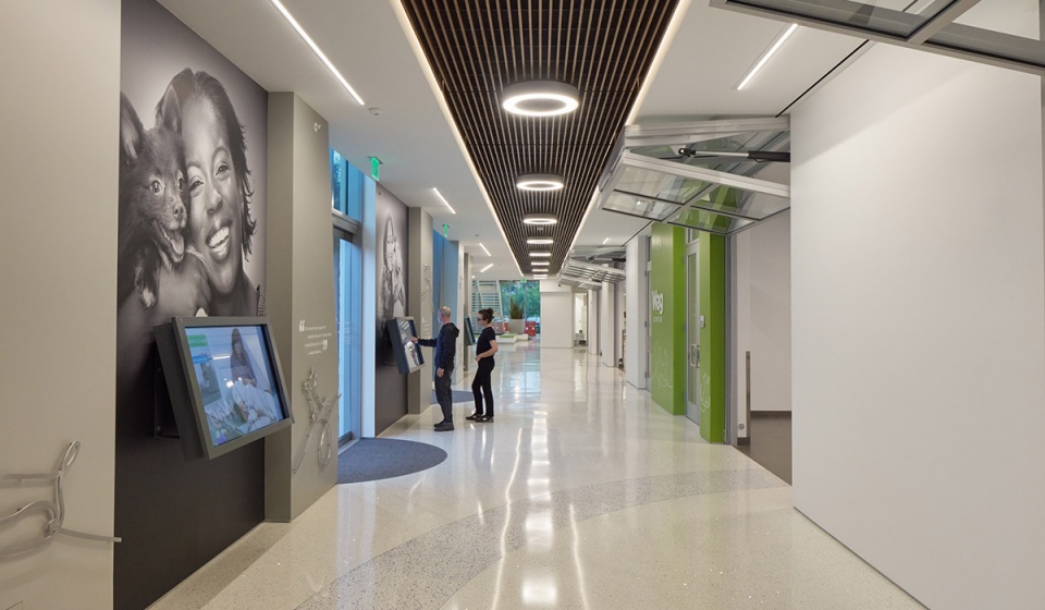 annenberg petspace by swatt miers architects