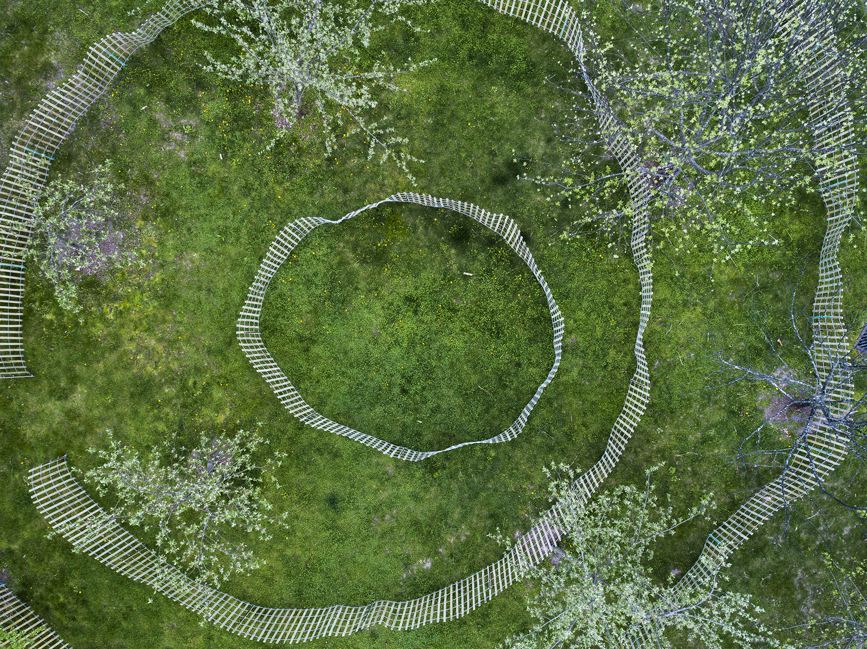 Long Division – Borders, Boundaries and Barricades by LeuWebb Projects ...