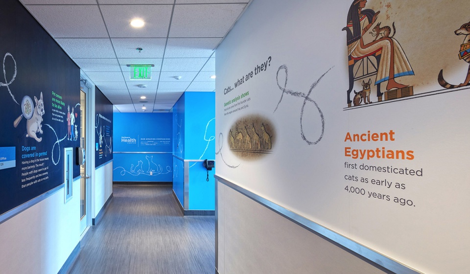 annenberg petspace by swatt miers architects