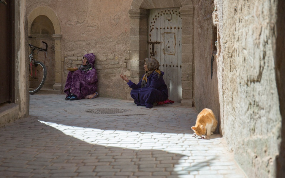 the shades of morocco by yang tianzhou