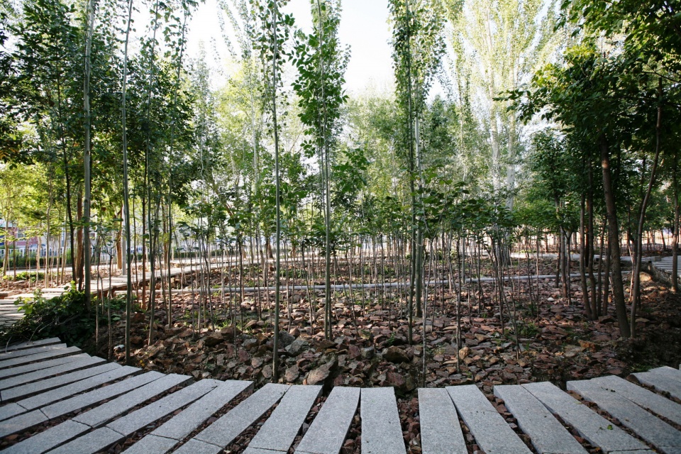 delight in confrontation tian park in xinjiang china by r land