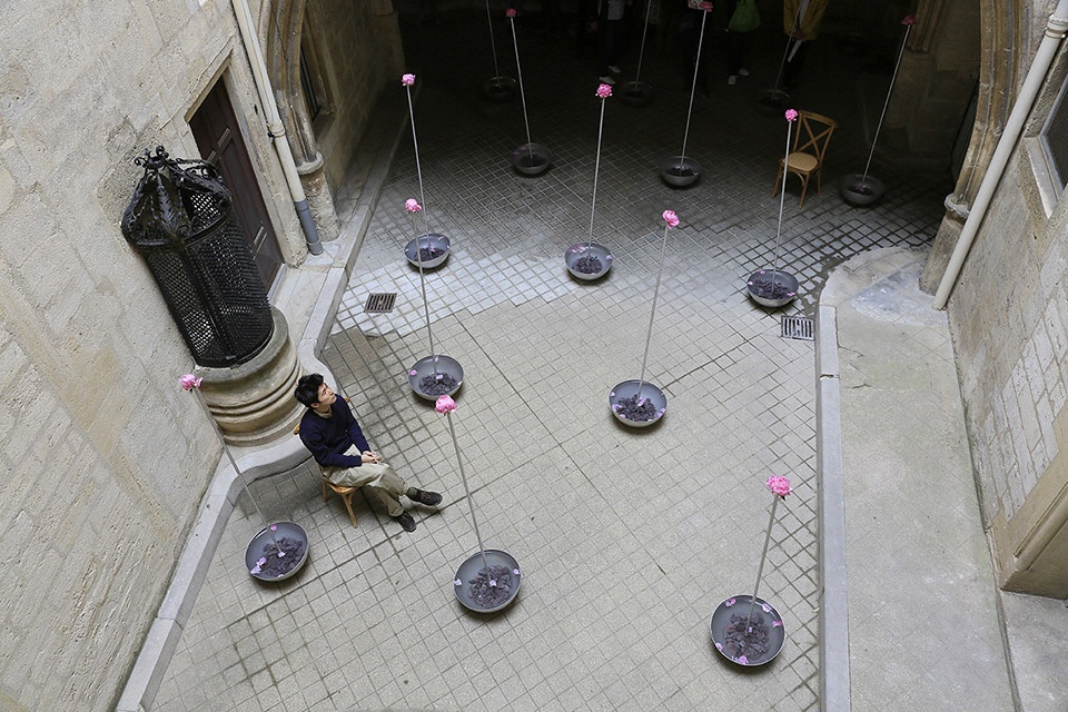 festival des architectures vives 2019