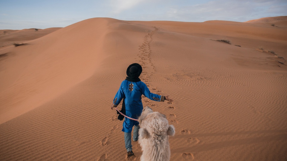 the shades of morocco by yang tianzhou