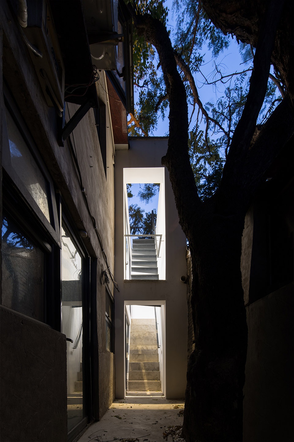 tree courtyard china by atelier jian
