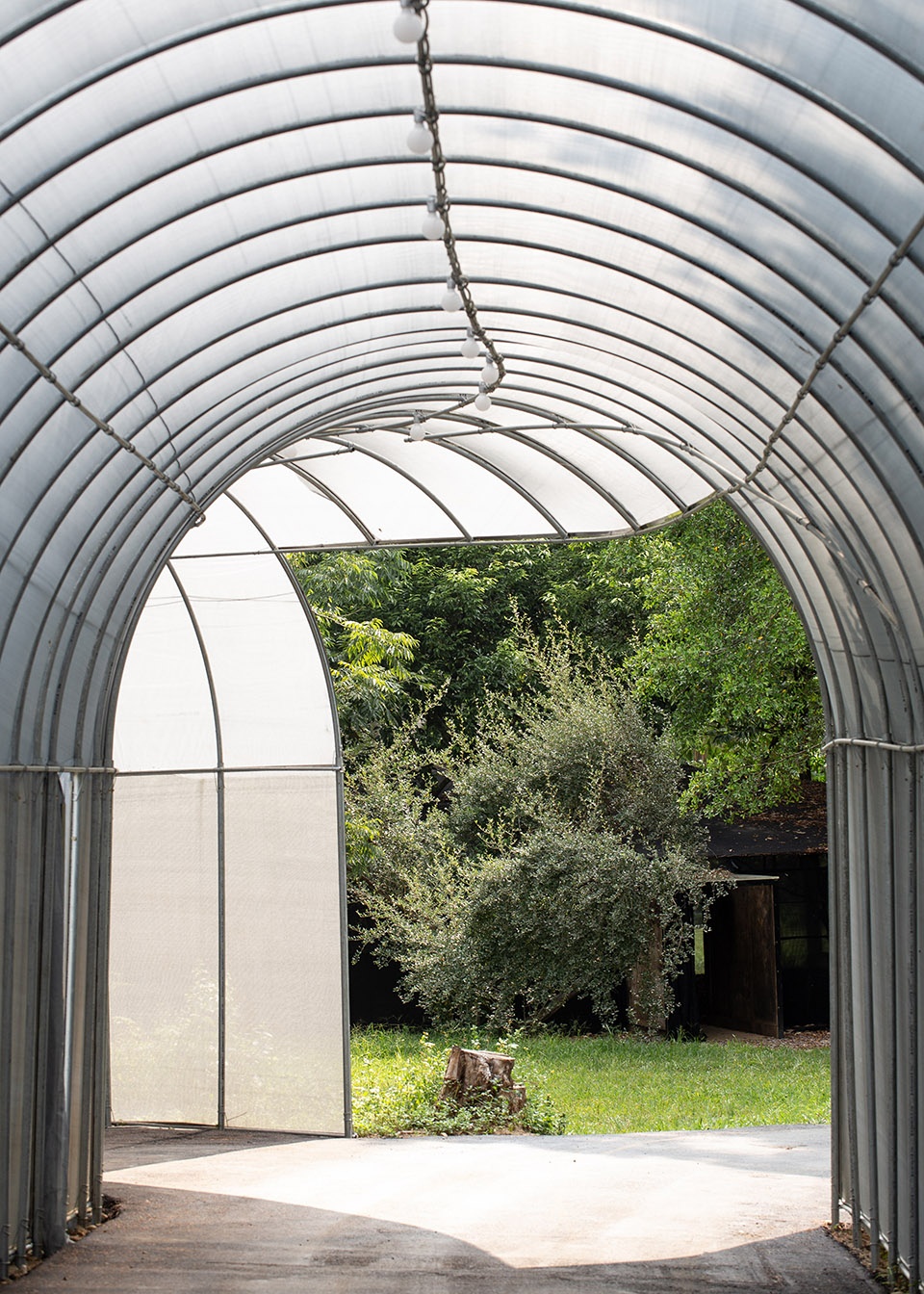 forest big by divooe zein architects