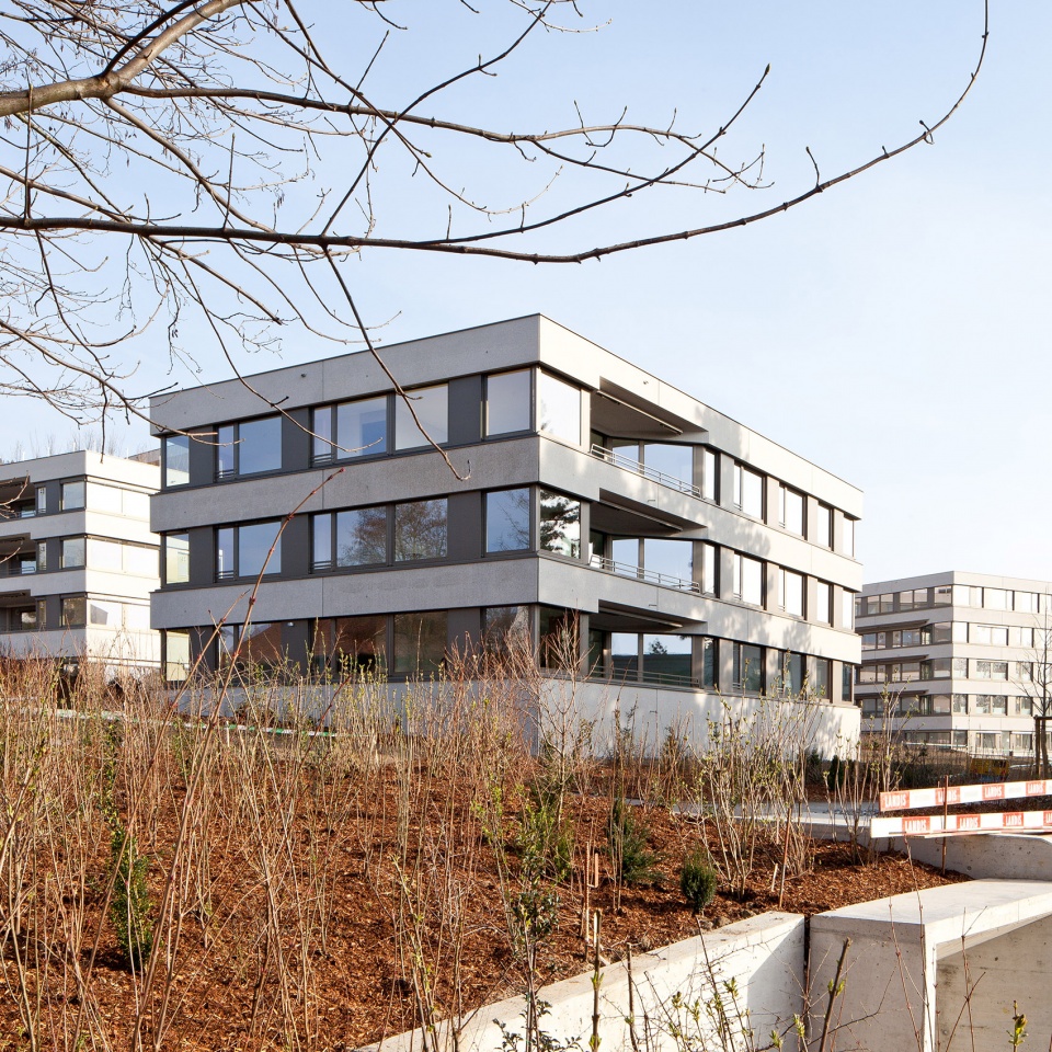 care center frauensteinmatt by michael meier marius hug architekten