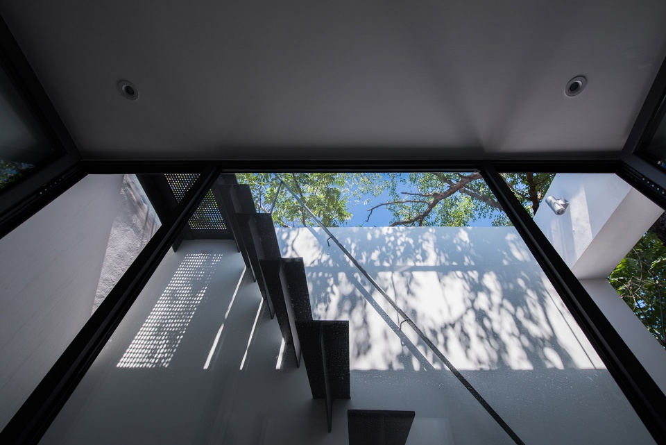 tree courtyard china by atelier jian