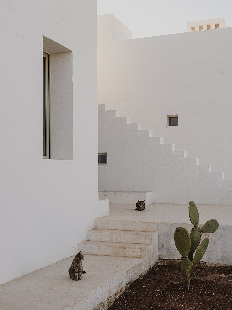 025-villa-cardo-by-studio-andrew-trotter-960x1280.jpg