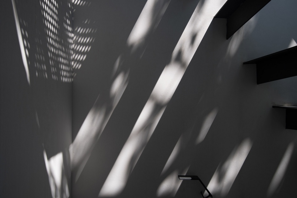 tree courtyard china by atelier jian