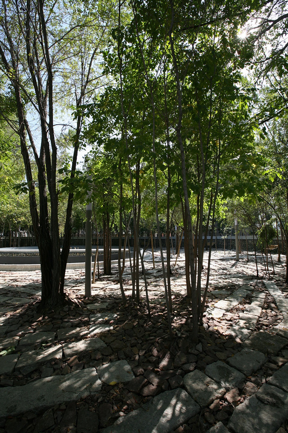 delight in confrontation tian park in xinjiang china by r land