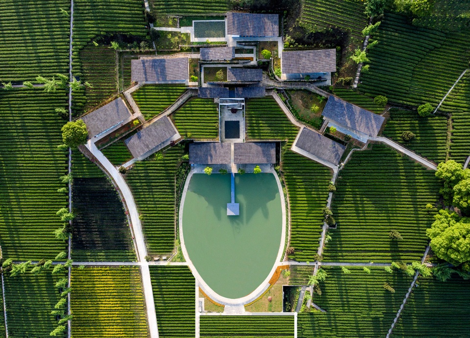 ding xin tea garden,china by chongqing haofeng planning and design group