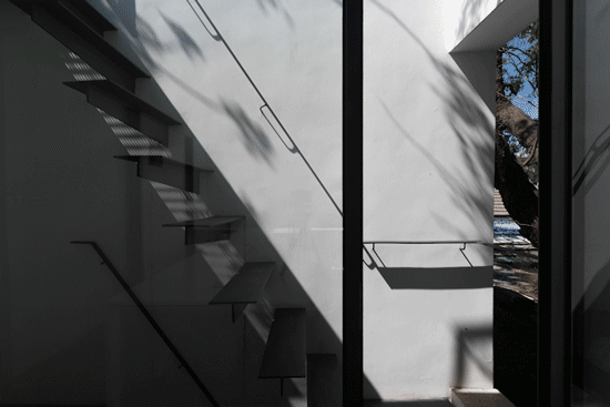 tree courtyard china by atelier jian