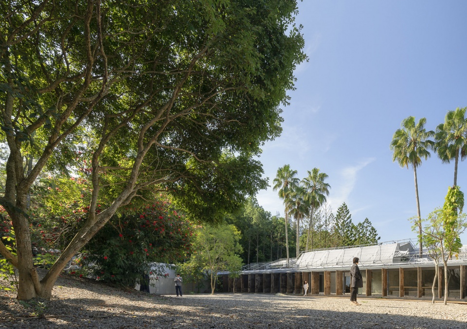 forest big by divooe zein architects