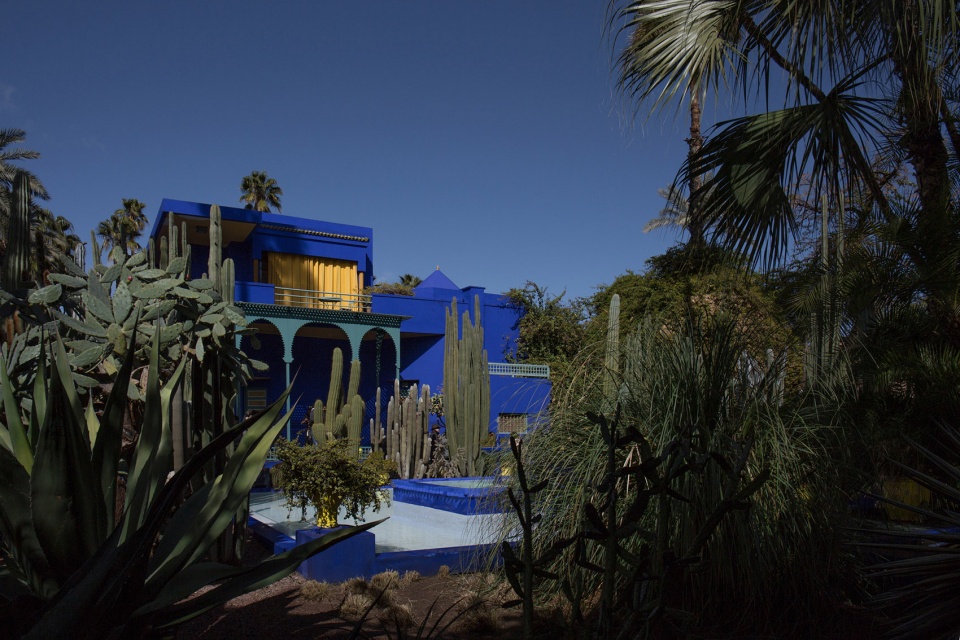 the shades of morocco by yang tianzhou