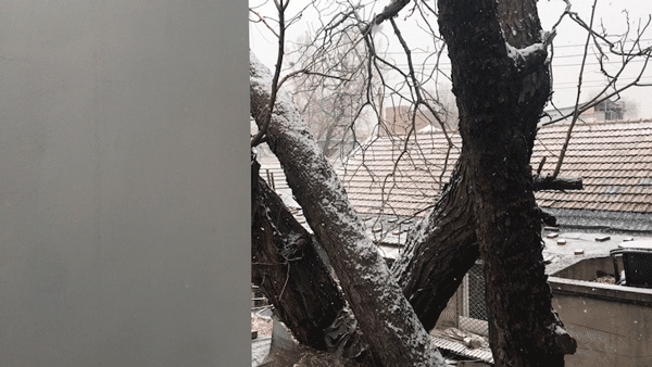 tree courtyard china by atelier jian
