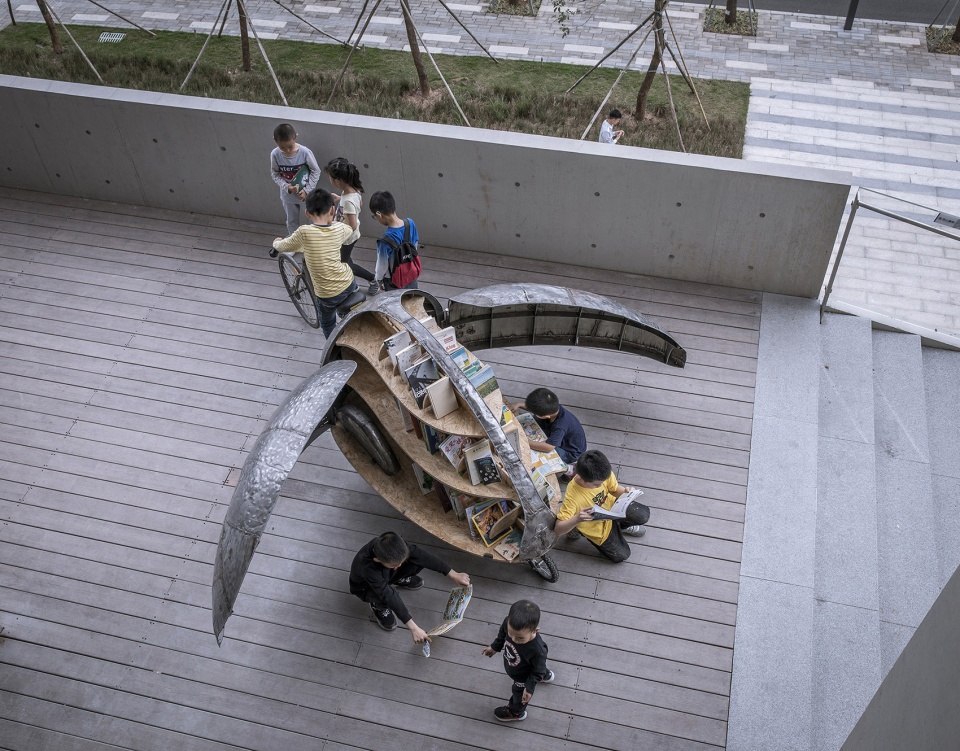 shared lady beetle china by luo studio