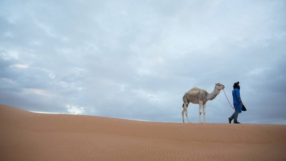 the shades of morocco by yang tianzhou