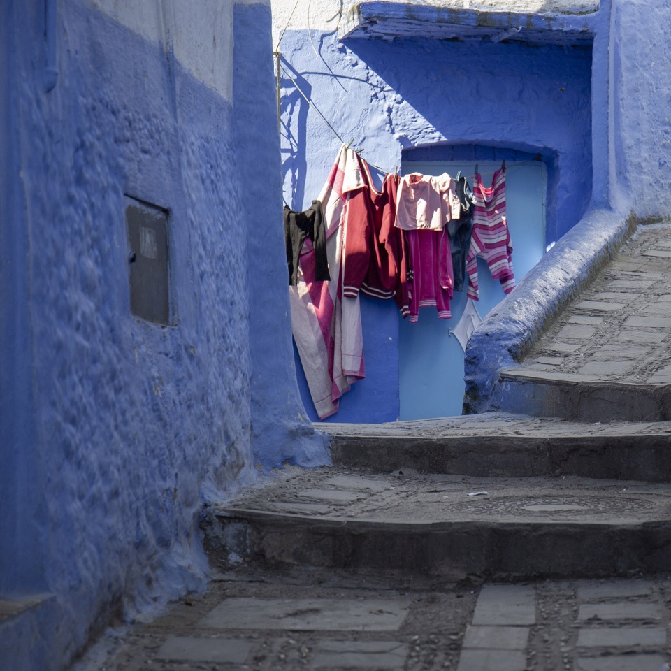 the shades of morocco by yang tianzhou