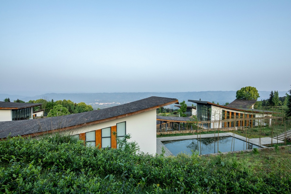 ding xin tea garden,china by chongqing haofeng planning and design group