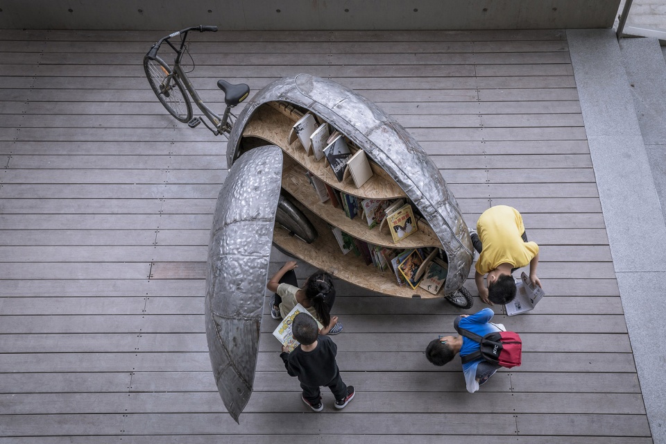 shared lady beetle china by luo studio