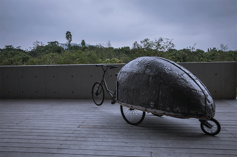 shared lady beetle china by luo studio