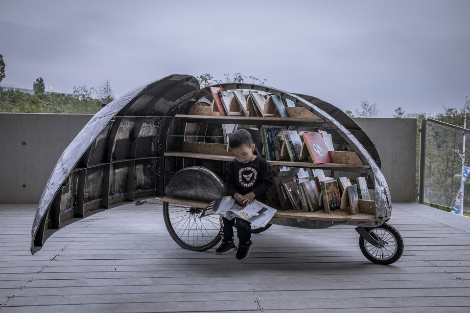 shared lady beetle china by luo studio